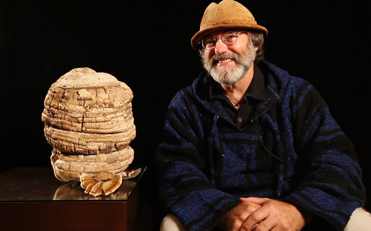 ¿Quién es Paul Stamets?