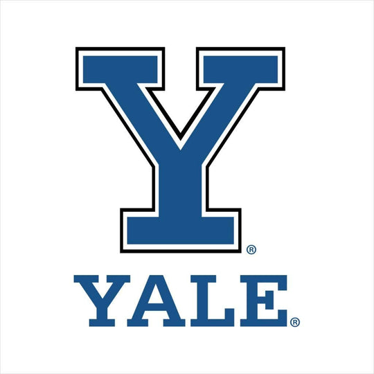 Un estudio histórico de Yale confirma que la psilocibina crea nuevas conexiones neuronales